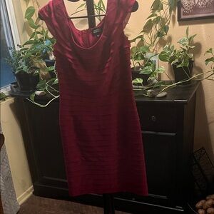 Adrianna Papell Burgundy Mini Dress